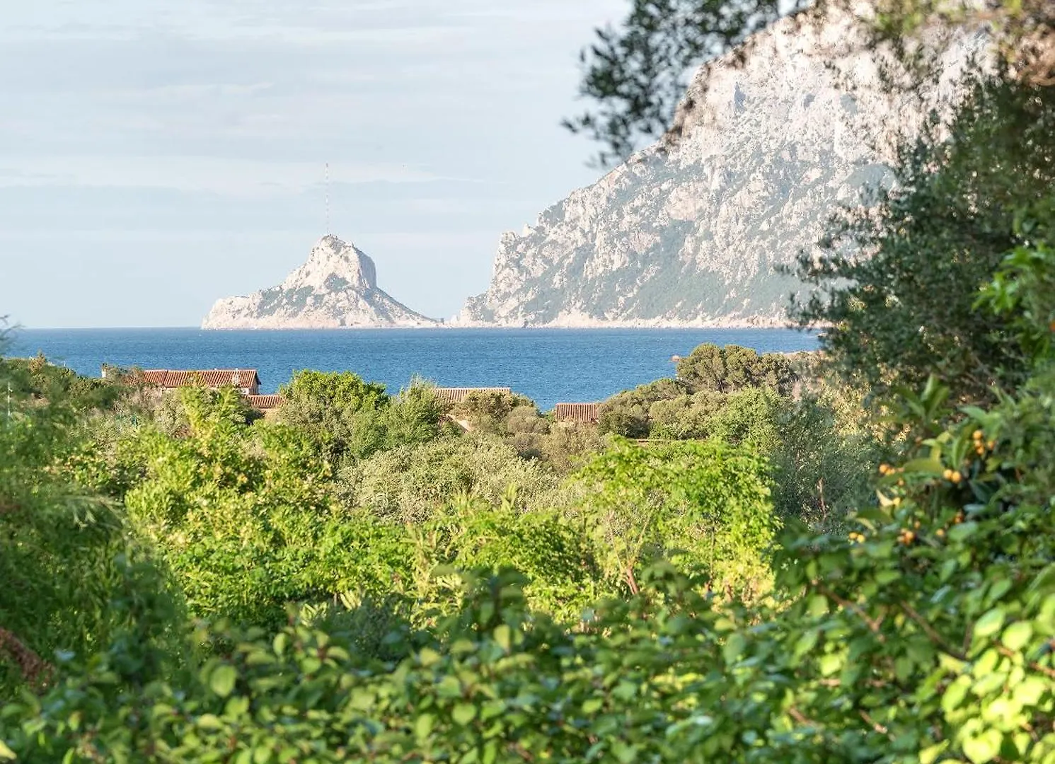 Hotel Ollastu Olbia