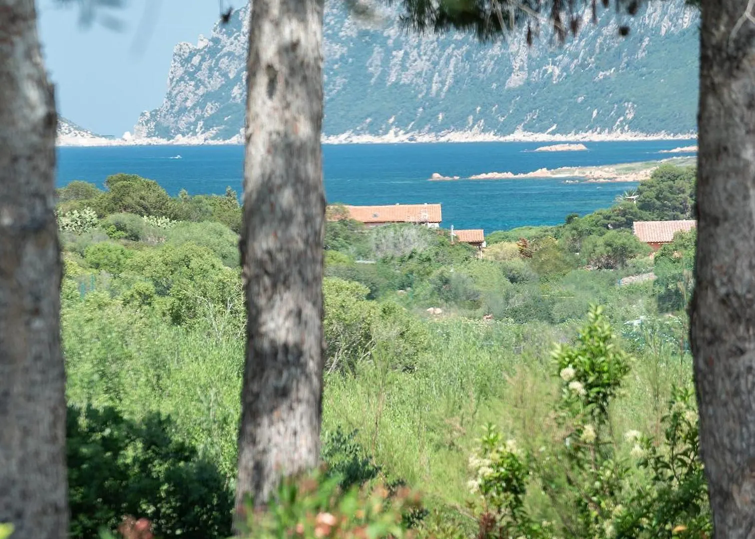 Hotel Ollastu Olbia