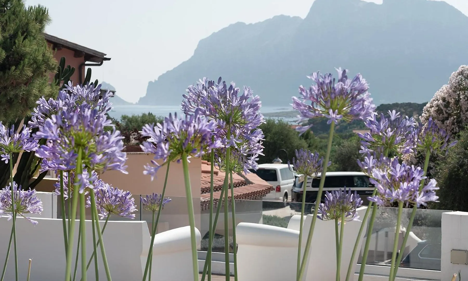 ****  Hotel Ollastu Olbia Italy